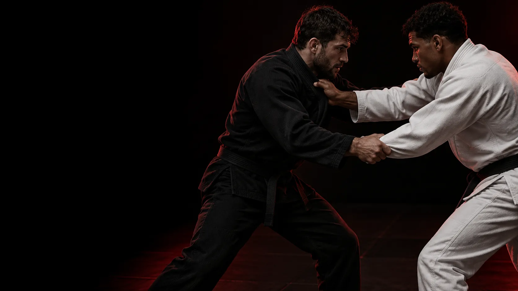 Conceptual campaign image of two jiu-jitsu athletes training